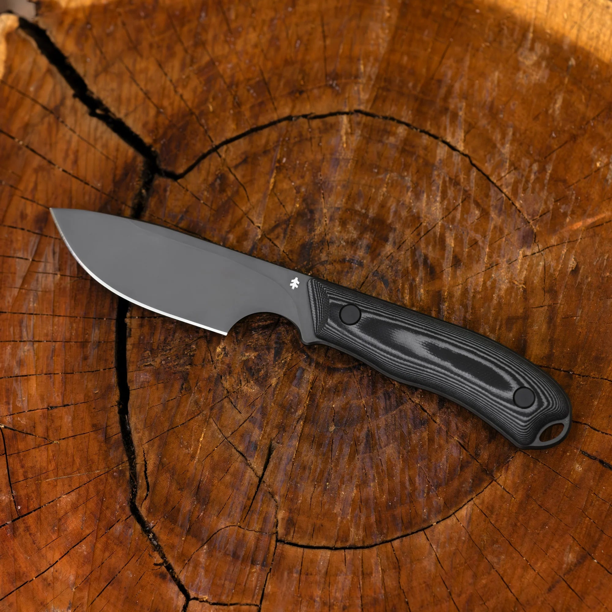 Halten - Fuldtang dolk